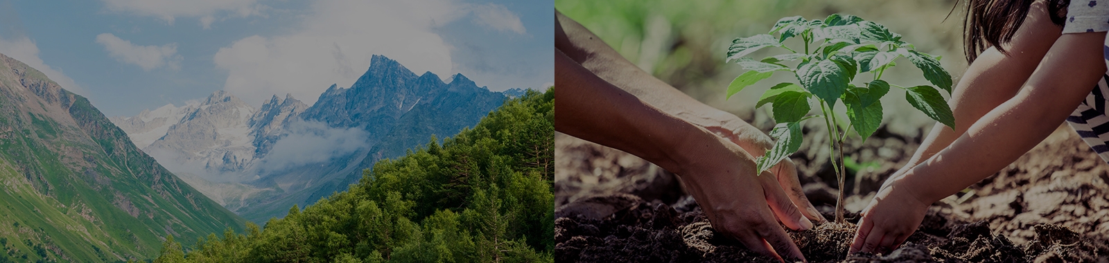 Sustainability
