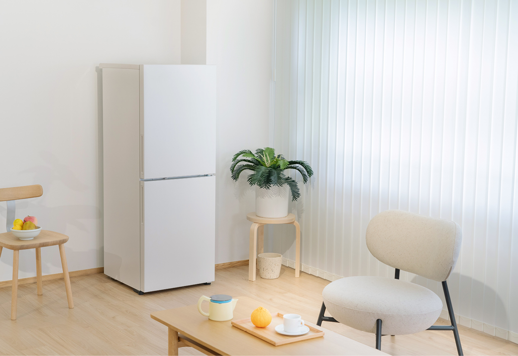 Large-Capacity Home Freezer U22