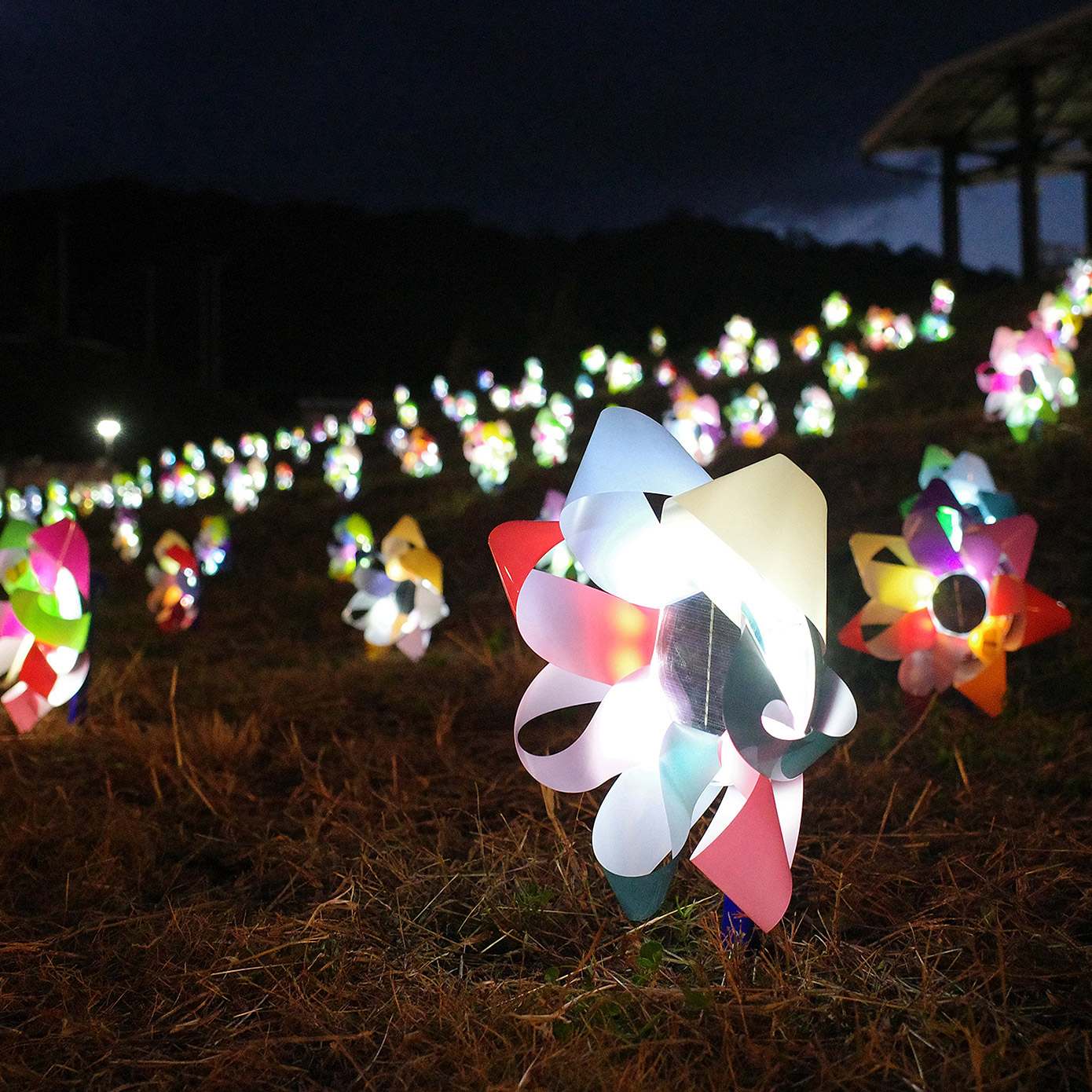 A seven-letter word for the future, where the passion of  "Mitsubishi Electric x FC Imabari" blossoms for the region.