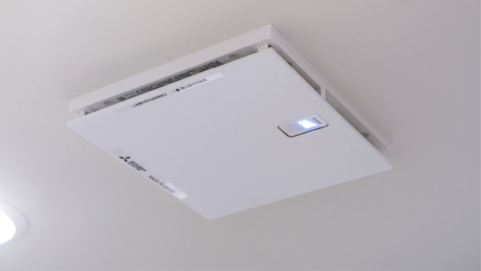 The Importance of Air Quality for Cats’ Health