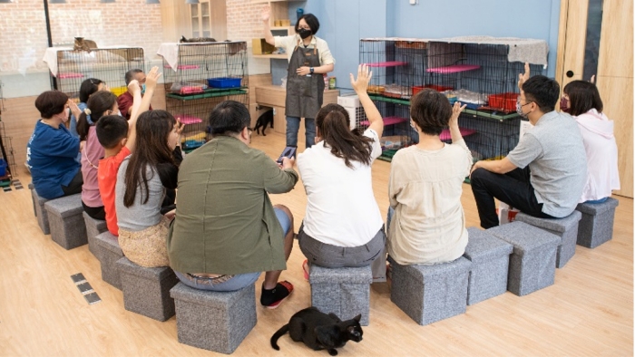 Cat Care Educational Seminar