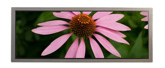 Mitsubishi Electric Color TFT-LCD Module (AA123AD11)