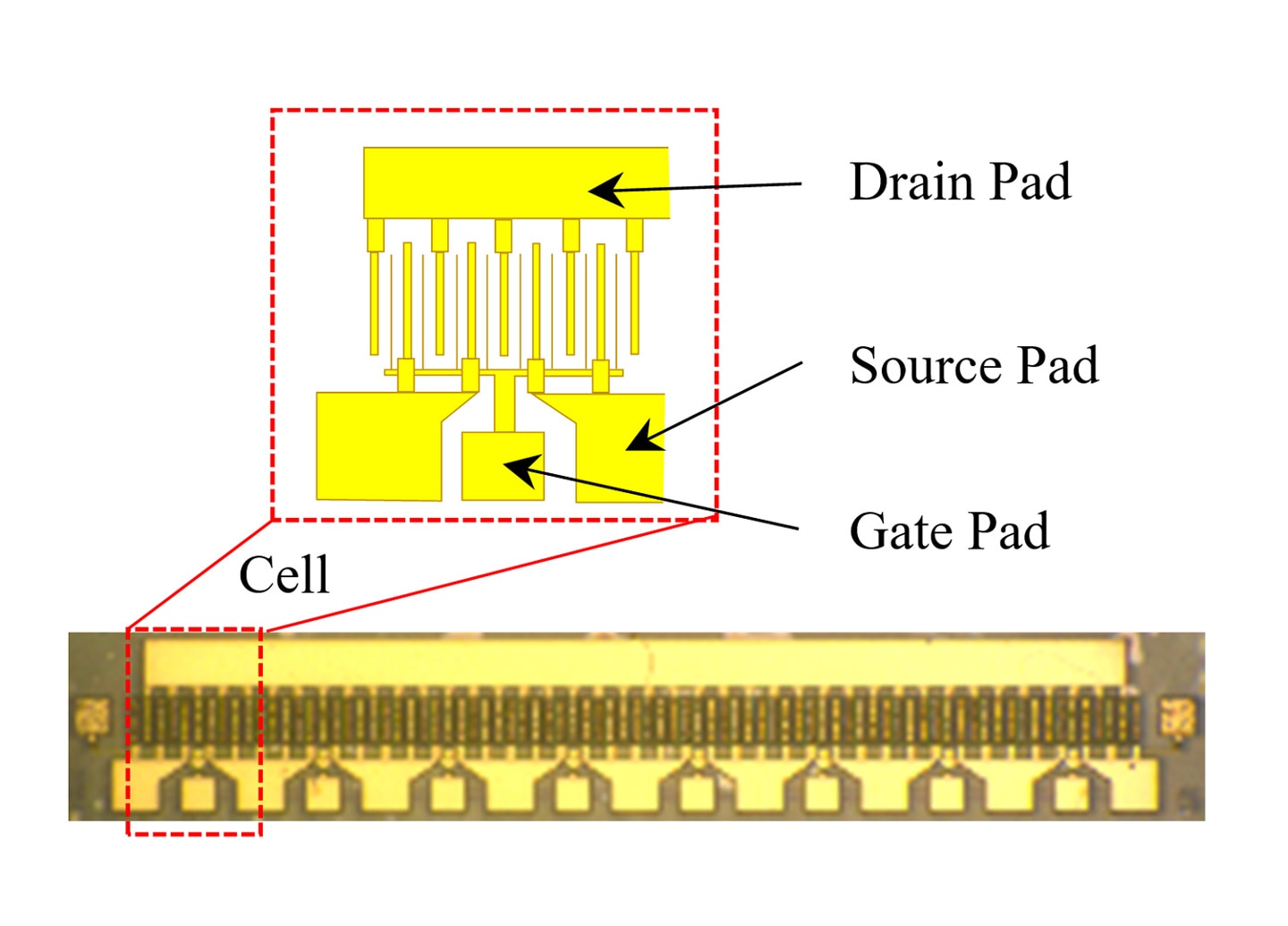 New GaN-on-Diamond HEMT View from above and cell structure