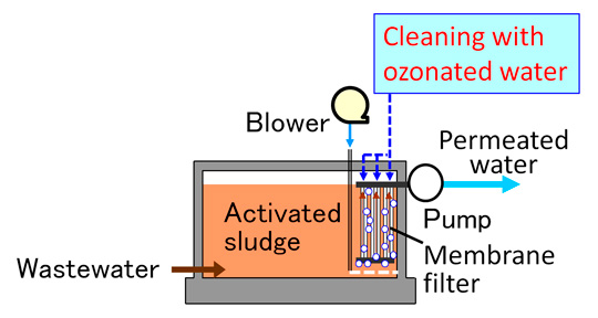 Schematic diagram of Eco-MBR