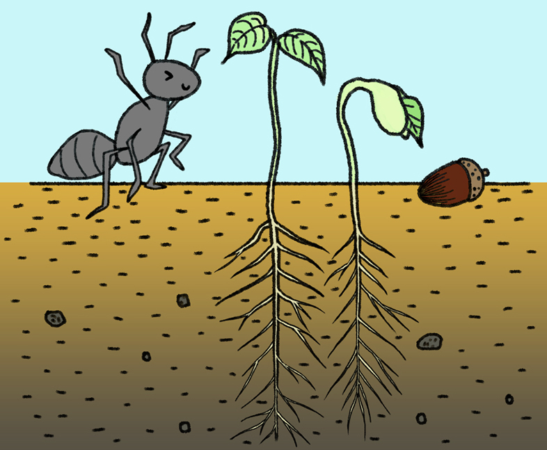 illustration: