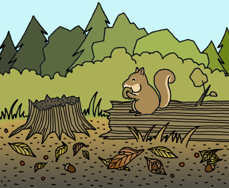 illustration:
